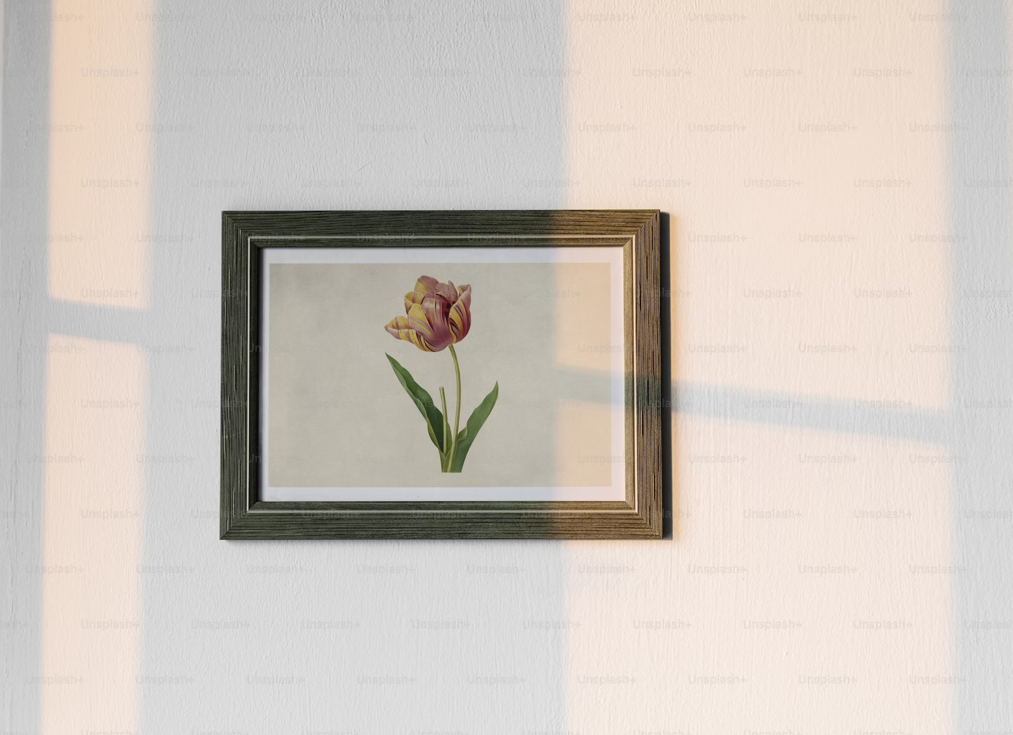 Mixed media exploration of texture and pattern